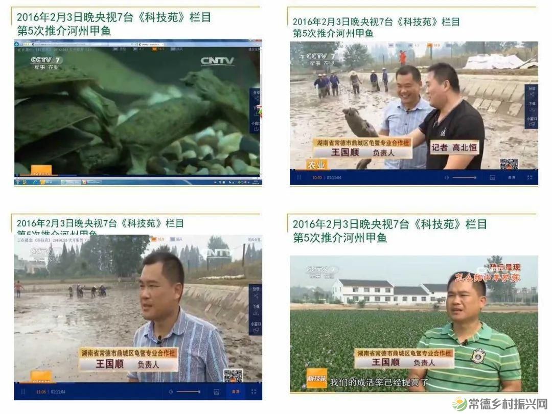 喜报!!河洲甲鱼荣获第23届中国中部(湖南)农博会金奖(图5) 喜报!!河洲甲鱼荣获第23届中国中部(湖南)农博会金奖(图5)