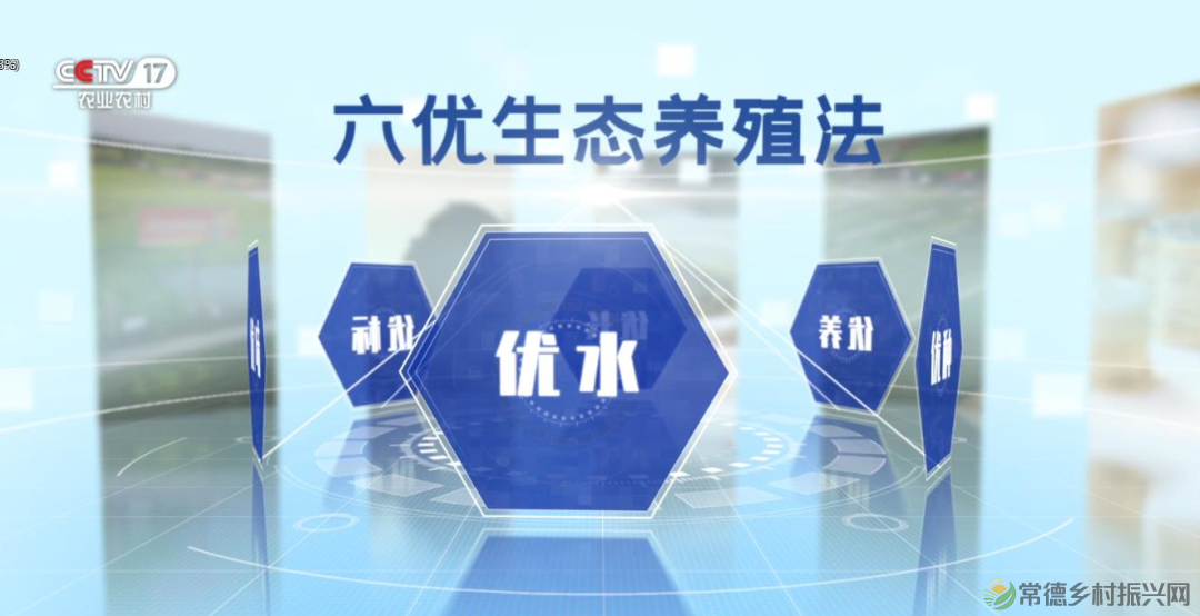 喜报!!河洲甲鱼荣获第23届中国中部(湖南)农博会金奖(图6) 喜报!!河洲甲鱼荣获第23届中国中部(湖南)农博会金奖(图6)