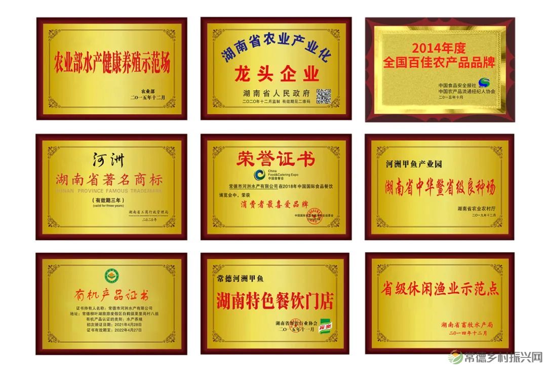 喜报!!河洲甲鱼荣获第23届中国中部(湖南)农博会金奖(图7) 喜报!!河洲甲鱼荣获第23届中国中部(湖南)农博会金奖(图7)