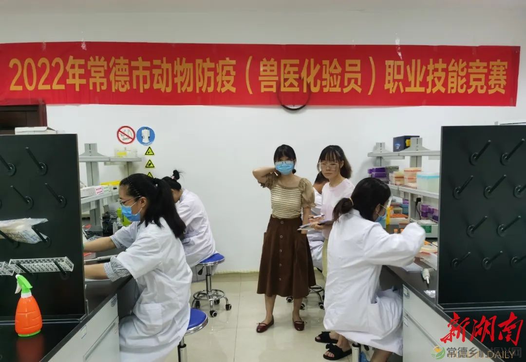 常德再掀动物防疫职业技能竞赛新高潮(图2) 常德再掀动物防疫职业技能竞赛新高潮(图2)