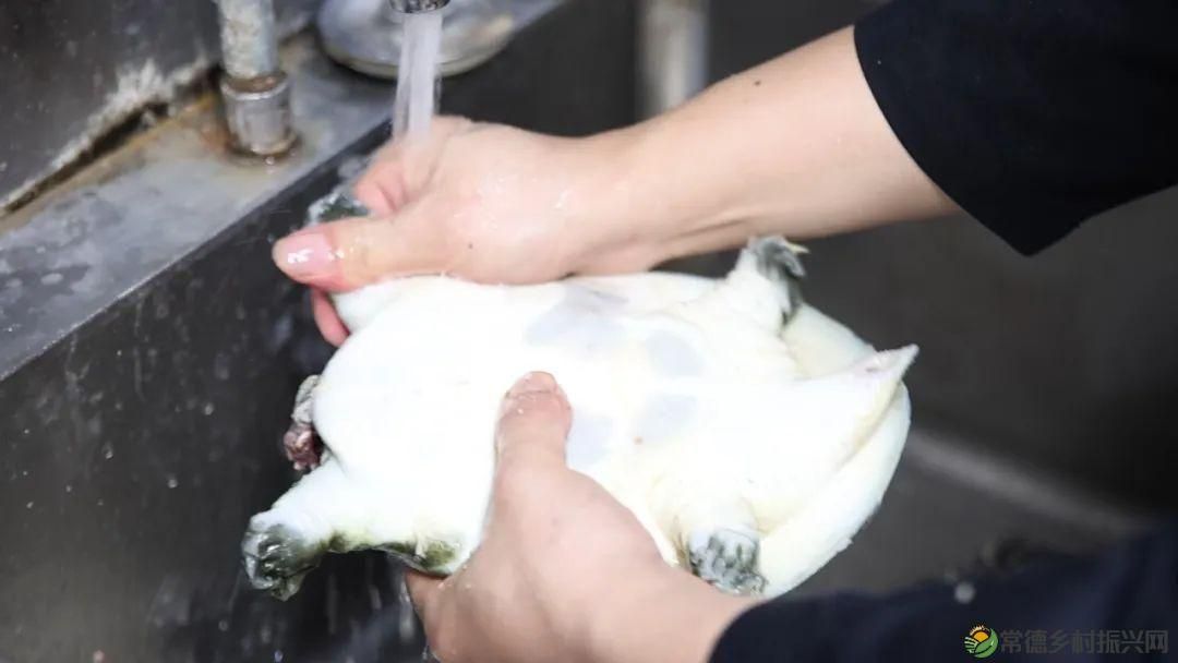 以一钵常德甲鱼 致敬天下父亲(图2) 以一钵常德甲鱼 致敬天下父亲(图2)