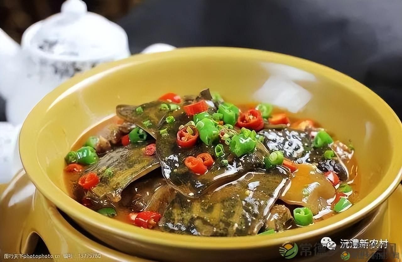 游世外桃源，品常德甲鱼(图5)