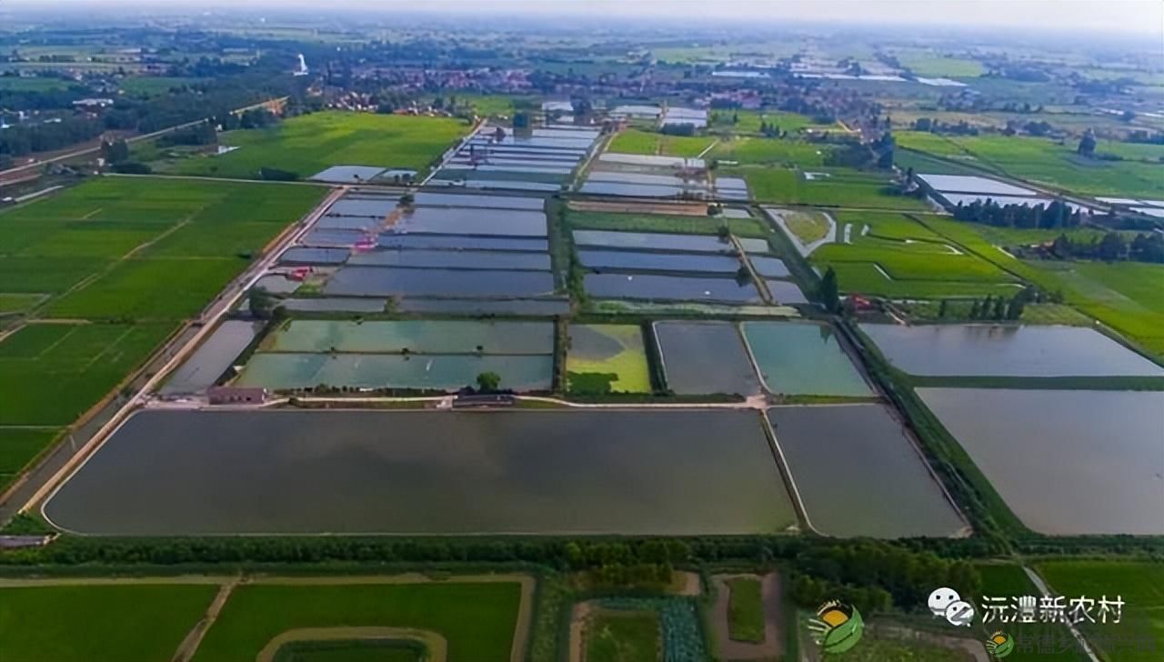 游世外桃源，品常德甲鱼(图9)