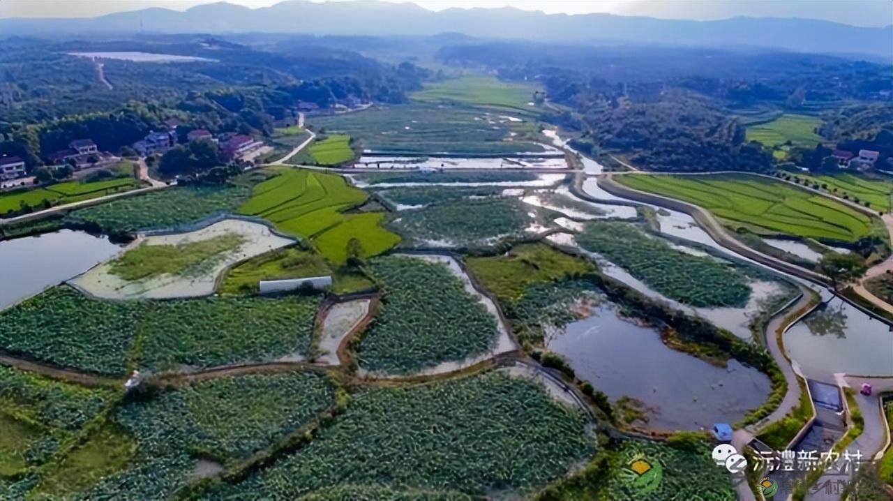 游世外桃源，品常德甲鱼(图10)