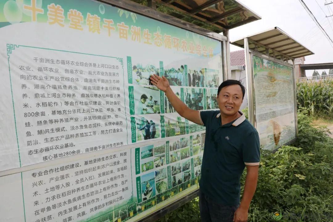 【沅澧新农人】梁波:从知名餐厨到甲鱼王子的华丽转身(图10) 【沅澧新农人】梁波:从知名餐厨到甲鱼王子的华丽转身(图10)