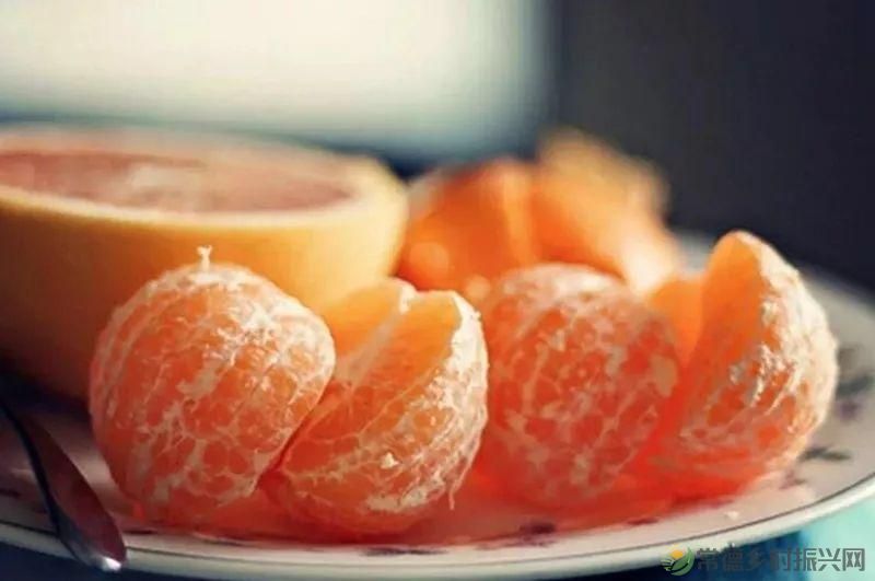  离情别苦，偏偏牵肠挂肚(图4)