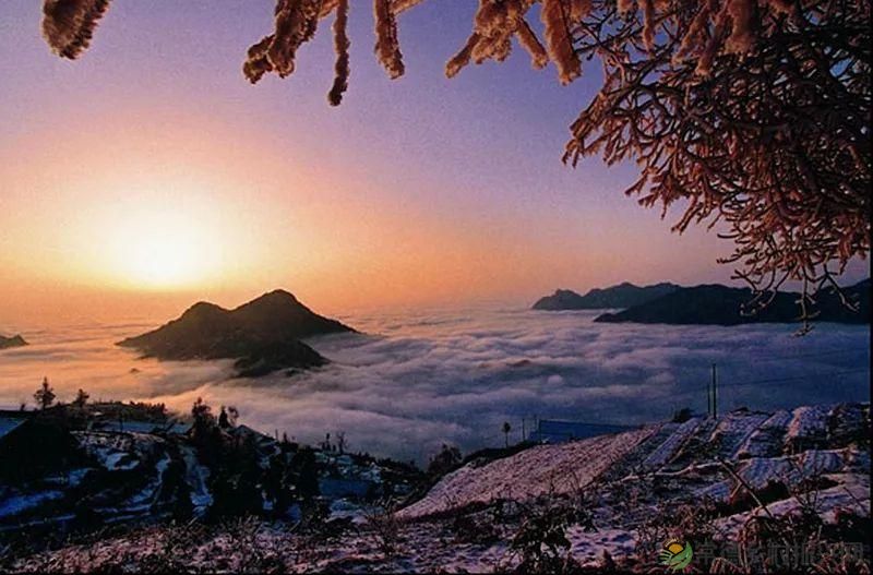  离情别苦，偏偏牵肠挂肚(图12)