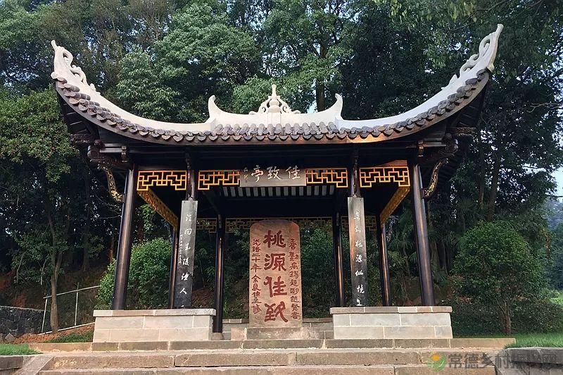  离情别苦，偏偏牵肠挂肚(图23)