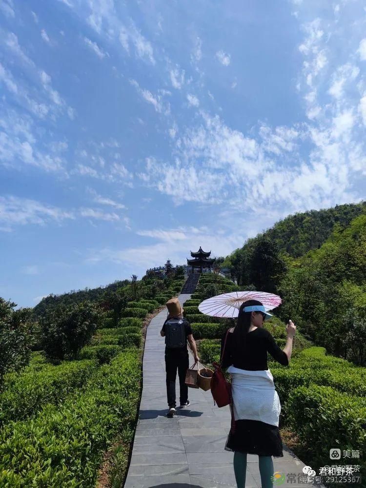 来君和, 不止有茶,还有蔡家塘的假日时光(图4) 来君和, 不止有茶,还有蔡家塘的假日时光(图4)