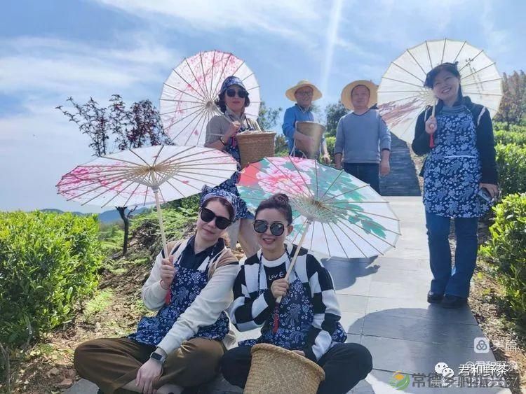 来君和, 不止有茶,还有蔡家塘的假日时光(图6) 来君和, 不止有茶,还有蔡家塘的假日时光(图6)