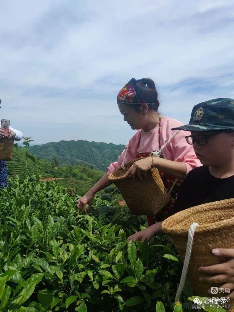 来君和, 不止有茶,还有蔡家塘的假日时光(图10) 来君和, 不止有茶,还有蔡家塘的假日时光(图10)