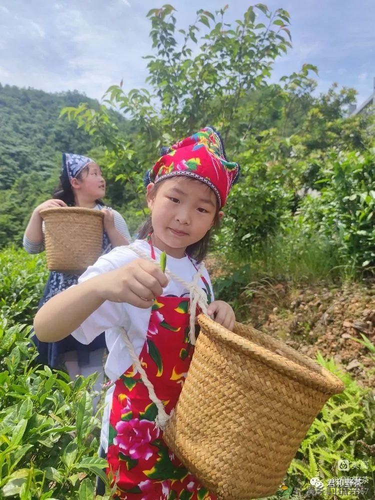 来君和, 不止有茶,还有蔡家塘的假日时光(图9) 来君和, 不止有茶,还有蔡家塘的假日时光(图9)