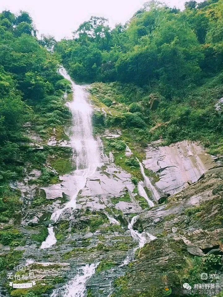 来君和, 不止有茶,还有蔡家塘的假日时光(图18) 来君和, 不止有茶,还有蔡家塘的假日时光(图18)