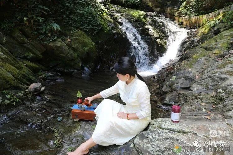 来君和, 不止有茶,还有蔡家塘的假日时光(图19) 来君和, 不止有茶,还有蔡家塘的假日时光(图19)