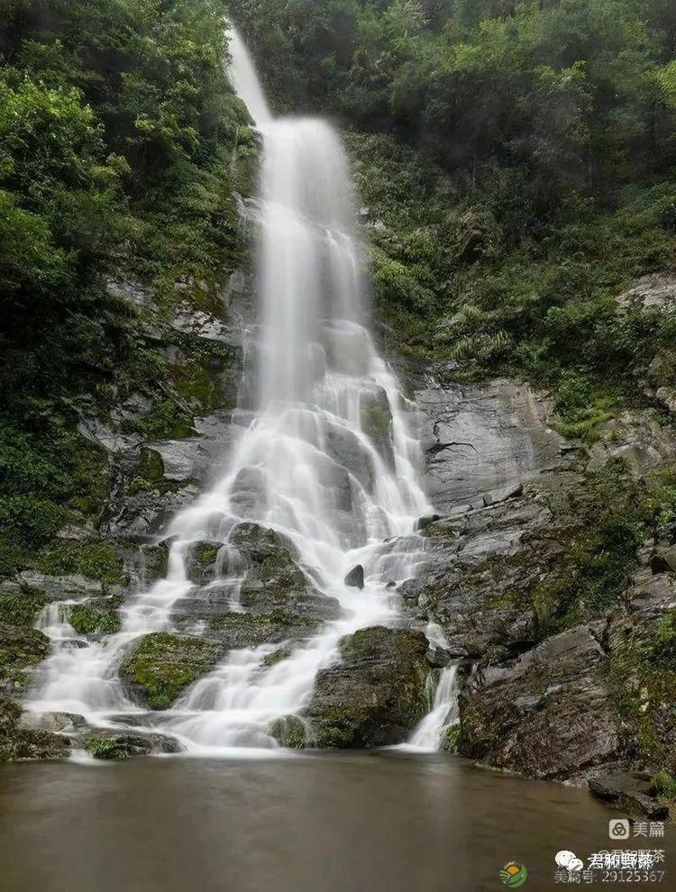 来君和, 不止有茶,还有蔡家塘的假日时光(图15) 来君和, 不止有茶,还有蔡家塘的假日时光(图15)