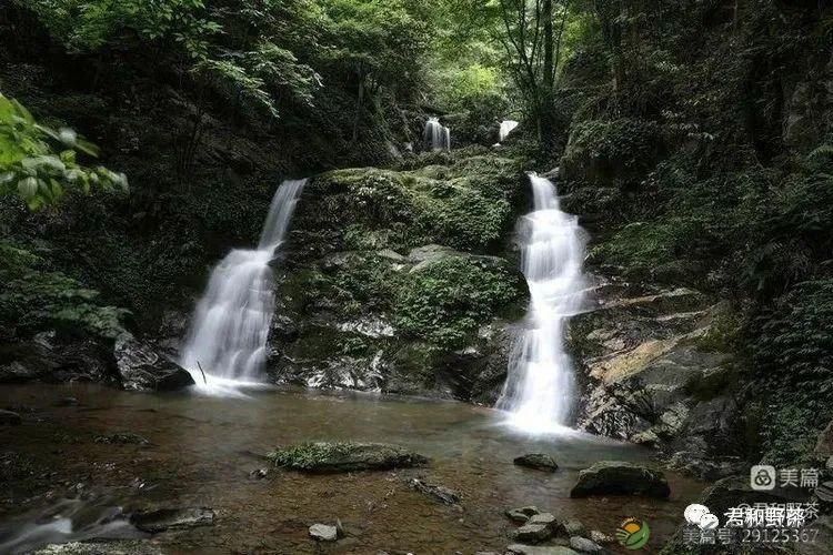 来君和, 不止有茶,还有蔡家塘的假日时光(图16) 来君和, 不止有茶,还有蔡家塘的假日时光(图16)