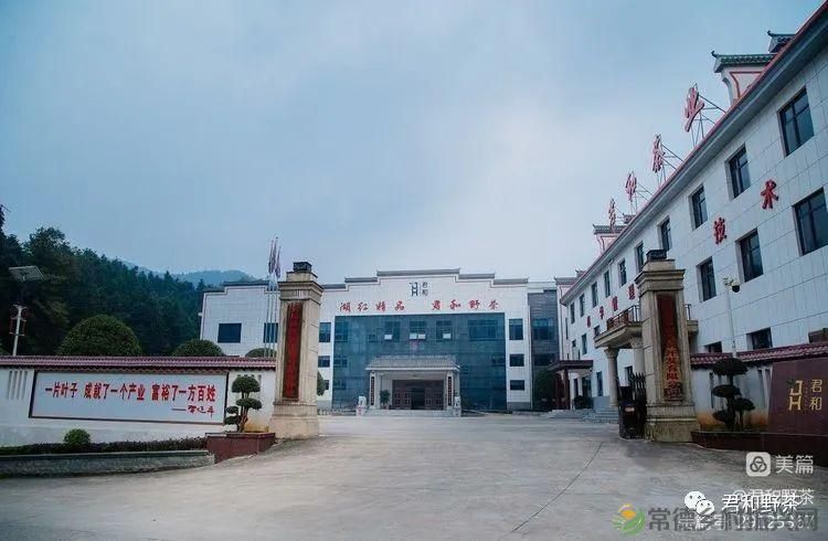 来君和, 不止有茶,还有蔡家塘的假日时光(图38) 来君和, 不止有茶,还有蔡家塘的假日时光(图38)