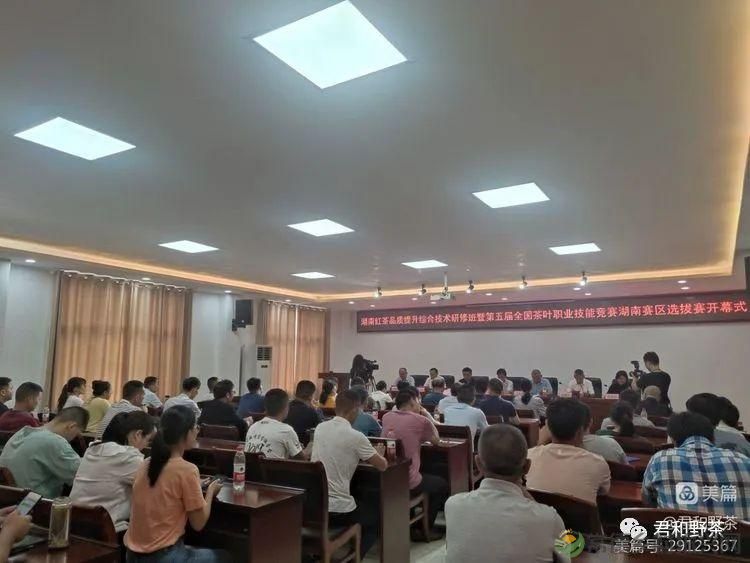 来君和, 不止有茶,还有蔡家塘的假日时光(图45) 来君和, 不止有茶,还有蔡家塘的假日时光(图45)