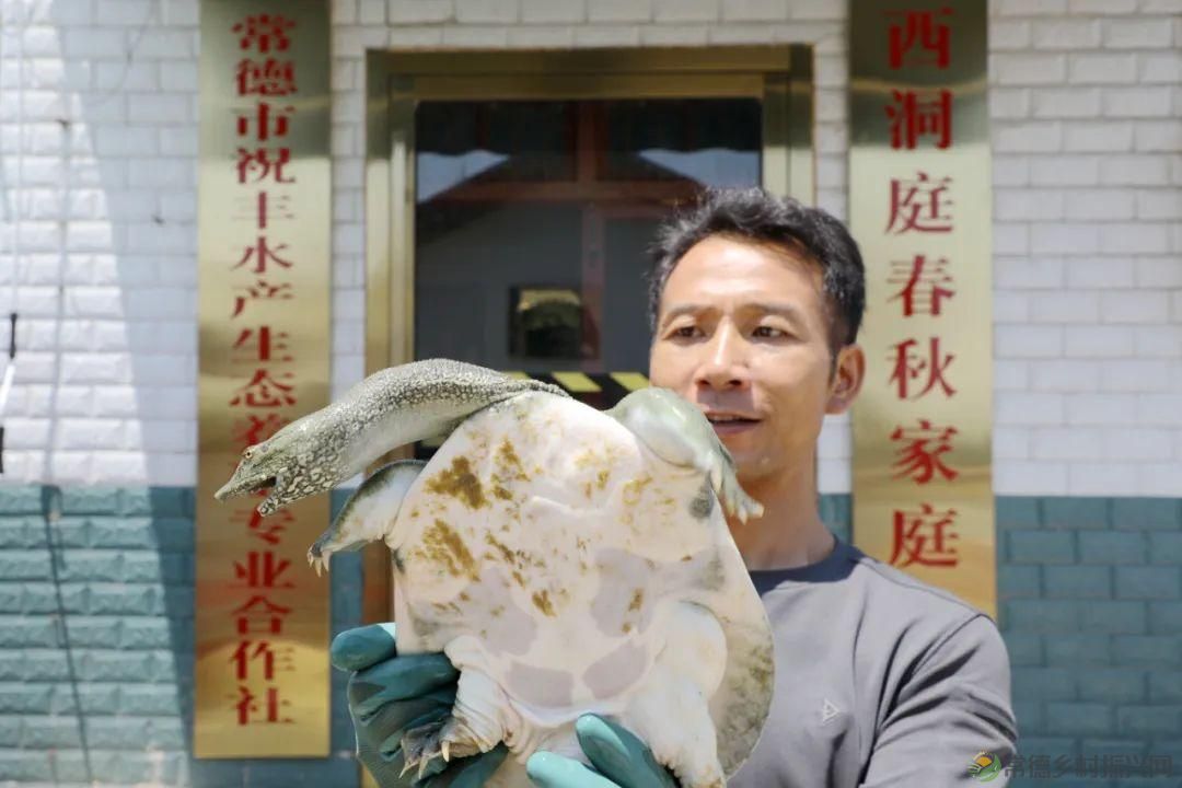 【沅澧新农人】罗强：创新水产新模式 探索发展新思路