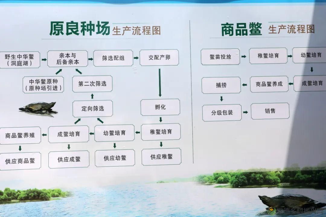 【沅澧新农人】罗强:创新水产新模式 探索发展新思路(图3) 【沅澧新农人】罗强:创新水产新模式 探索发展新思路(图3)