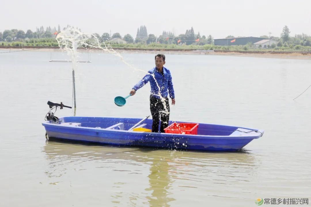 【沅澧新农人】罗强:创新水产新模式 探索发展新思路(图7) 【沅澧新农人】罗强:创新水产新模式 探索发展新思路(图7)