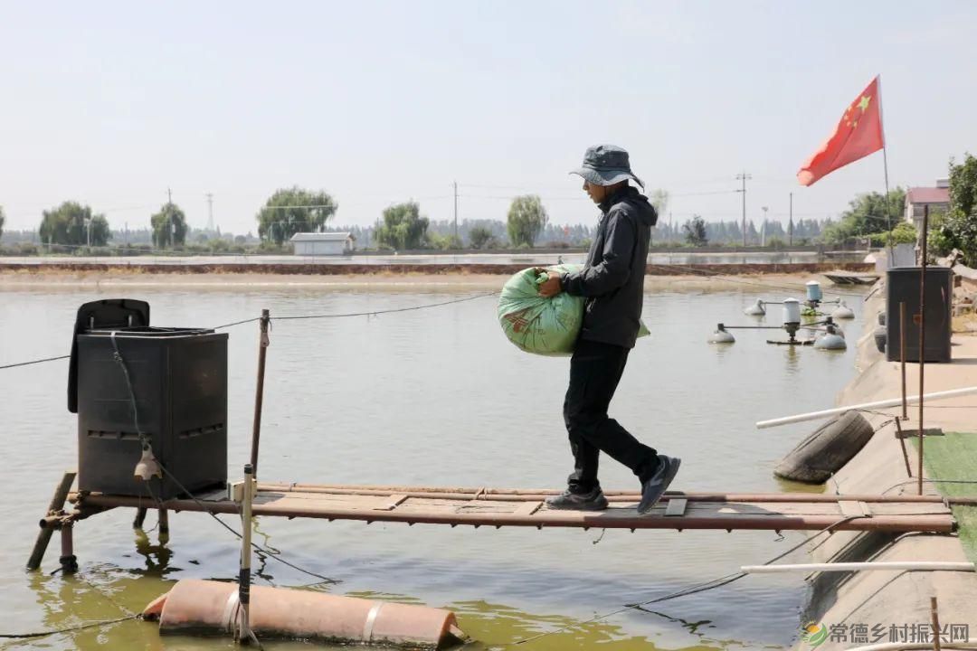 【沅澧新农人】罗强:创新水产新模式 探索发展新思路(图8) 【沅澧新农人】罗强:创新水产新模式 探索发展新思路(图8)