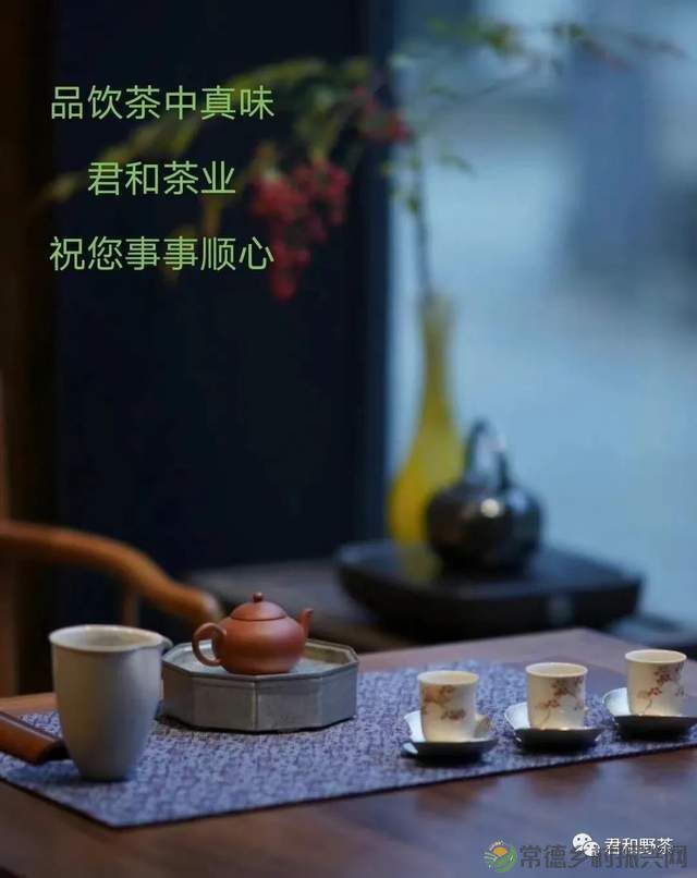 【君和茶品】桃源工夫茶(图4) 【君和茶品】桃源工夫茶(图4)