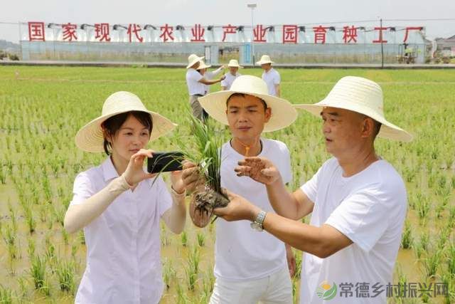 常德新增一所学校——他的名字叫常德鼎城乡村振兴学校、为湖南省第一所区(县)级乡村振兴学校(图9) 常德新增一所学校——他的名字叫常德鼎城乡村振兴学校、为湖南省第一所区(县)级乡村振兴学校(图9)