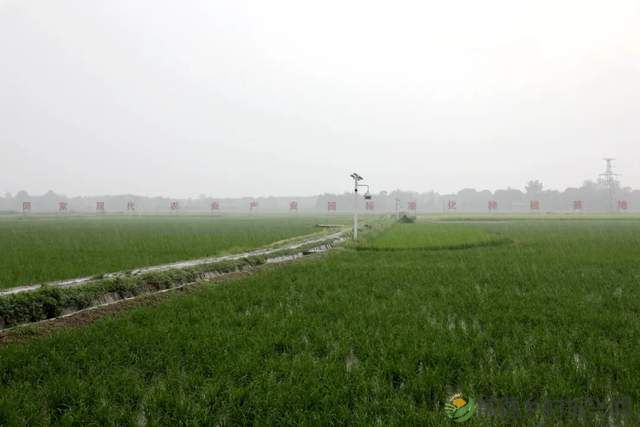 常德新增一所学校——他的名字叫常德鼎城乡村振兴学校、为湖南省第一所区(县)级乡村振兴学校(图12) 常德新增一所学校——他的名字叫常德鼎城乡村振兴学校、为湖南省第一所区(县)级乡村振兴学校(图12)