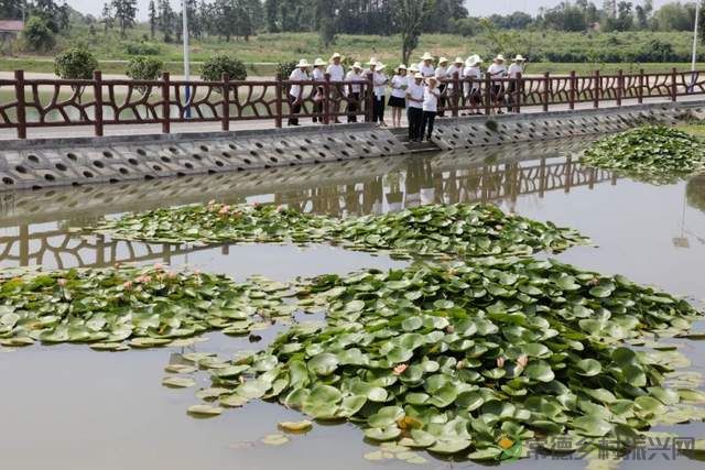 常德新增一所学校——他的名字叫常德鼎城乡村振兴学校、为湖南省第一所区(县)级乡村振兴学校(图29) 常德新增一所学校——他的名字叫常德鼎城乡村振兴学校、为湖南省第一所区(县)级乡村振兴学校(图29)