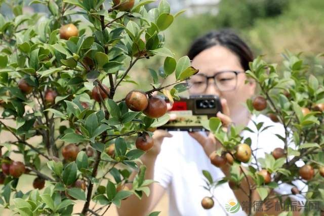 常德新增一所学校——他的名字叫常德鼎城乡村振兴学校、为湖南省第一所区(县)级乡村振兴学校(图33) 常德新增一所学校——他的名字叫常德鼎城乡村振兴学校、为湖南省第一所区(县)级乡村振兴学校(图33)