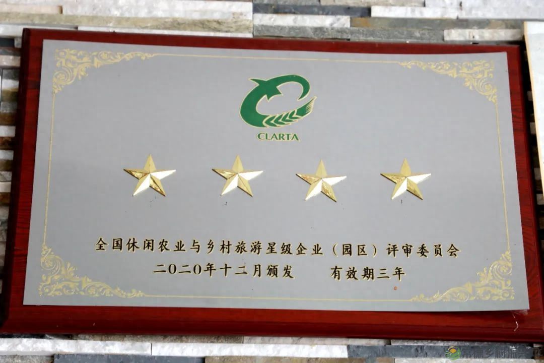 【沅澧新农人】姚飞鸿 鳄鱼岛主的别样人生(图4) 【沅澧新农人】姚飞鸿 鳄鱼岛主的别样人生(图4)