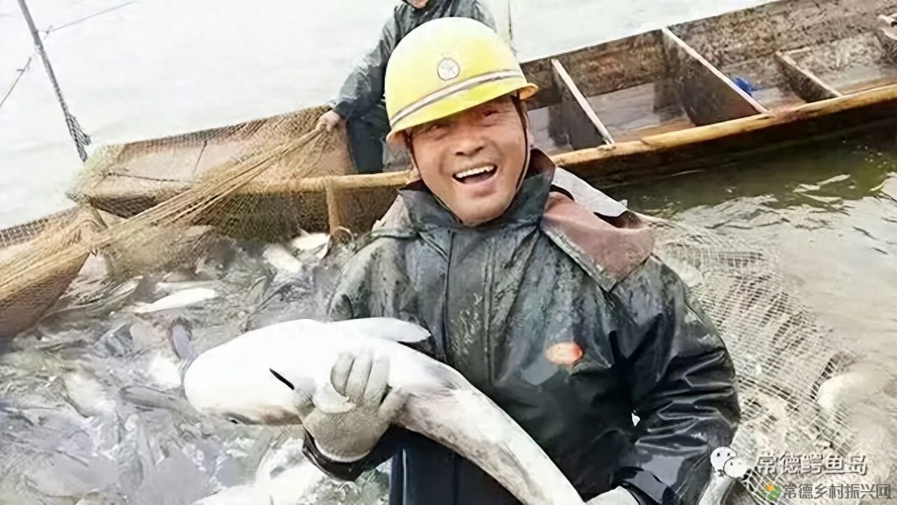 【沅澧新农人】姚飞鸿 鳄鱼岛主的别样人生(图12) 【沅澧新农人】姚飞鸿 鳄鱼岛主的别样人生(图12)