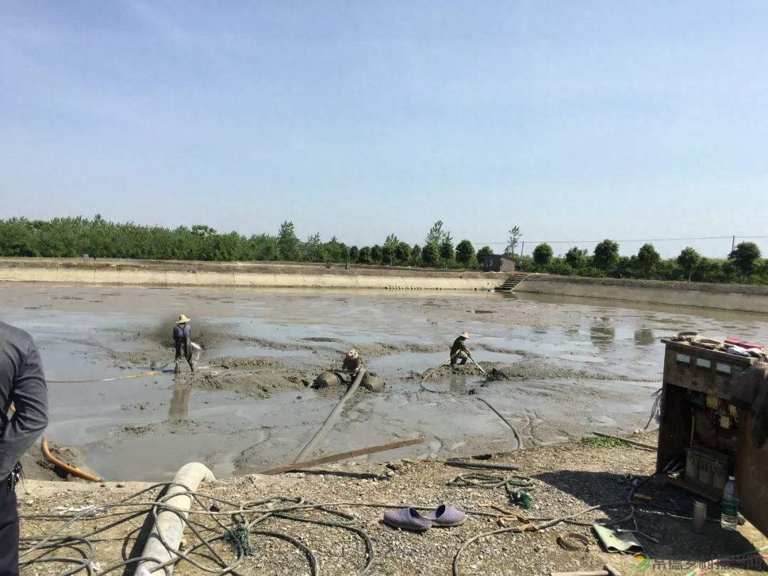 【沅澧新农人】姚飞鸿 鳄鱼岛主的别样人生(图11) 【沅澧新农人】姚飞鸿 鳄鱼岛主的别样人生(图11)