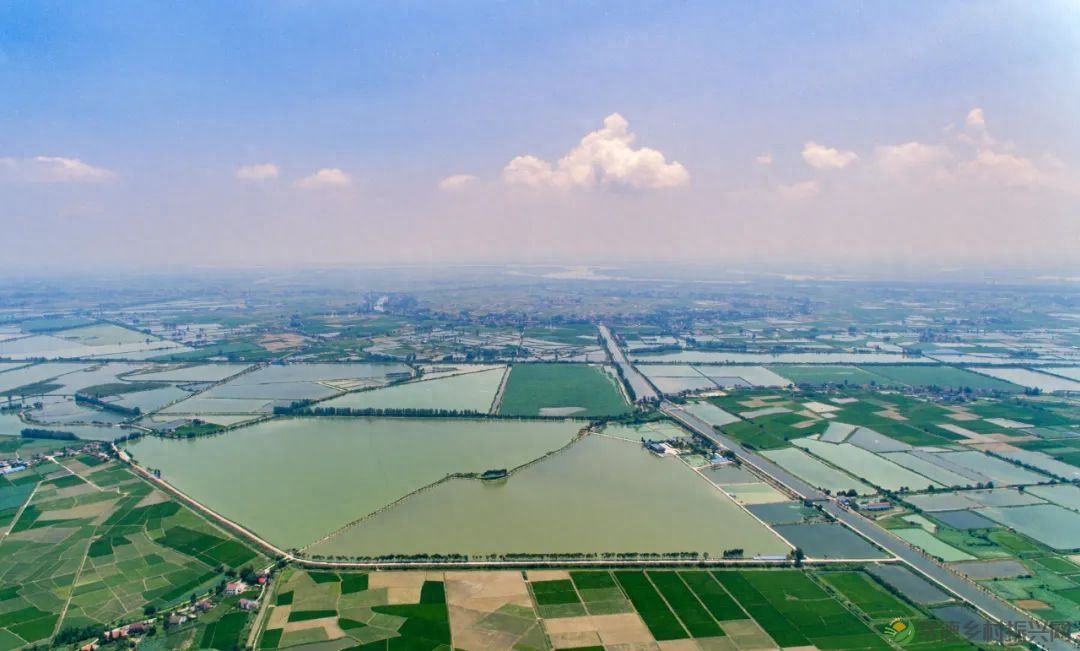 【沅澧新农人】姚飞鸿 鳄鱼岛主的别样人生(图16) 【沅澧新农人】姚飞鸿 鳄鱼岛主的别样人生(图16)