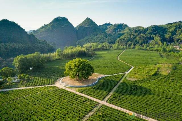 【双节特辑】邂逅“世外桃源”精选名宿,你确定不来?(桃源篇)(图5) 【双节特辑】邂逅“世外桃源”精选名宿,你确定不来?(桃源篇)(图5)