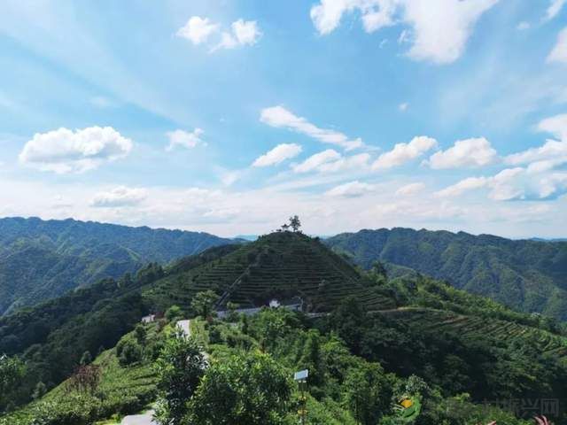 【双节特辑】邂逅“世外桃源”精选名宿,你确定不来?(桃源篇)(图20) 【双节特辑】邂逅“世外桃源”精选名宿,你确定不来?(桃源篇)(图20)