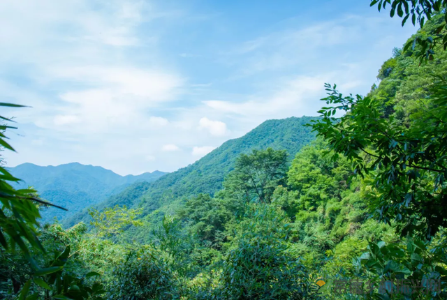 【双节特辑】邂逅“世外桃源”精选名宿,你确定不来?(桃源篇)(图32) 【双节特辑】邂逅“世外桃源”精选名宿,你确定不来?(桃源篇)(图32)