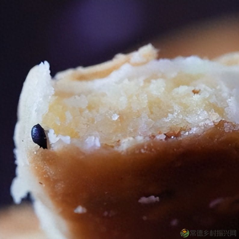 【走进临澧】“文化名镇•美食合口”美食文化旅游消费节即将启幕(图9)