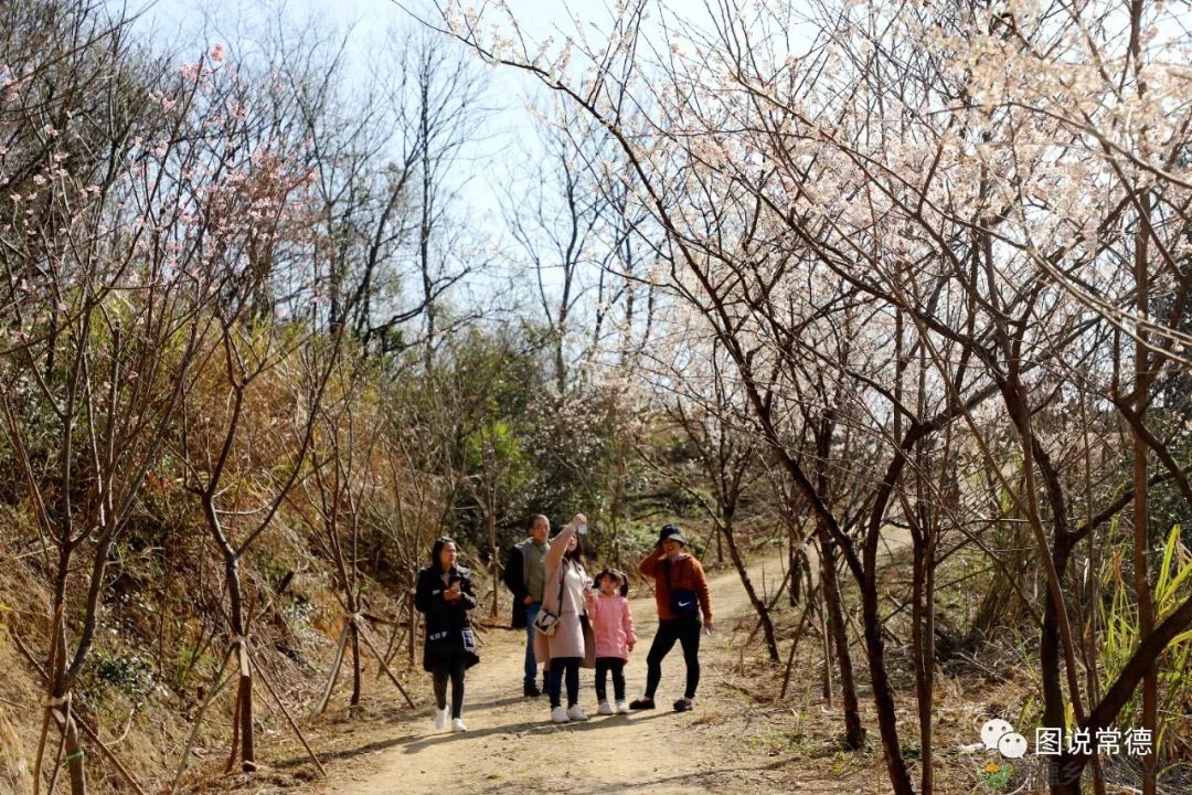 【走进临澧】太浮山:洞庭第一福山,武陵康养福地(图6) 【走进临澧】太浮山:洞庭第一福山,武陵康养福地(图6)