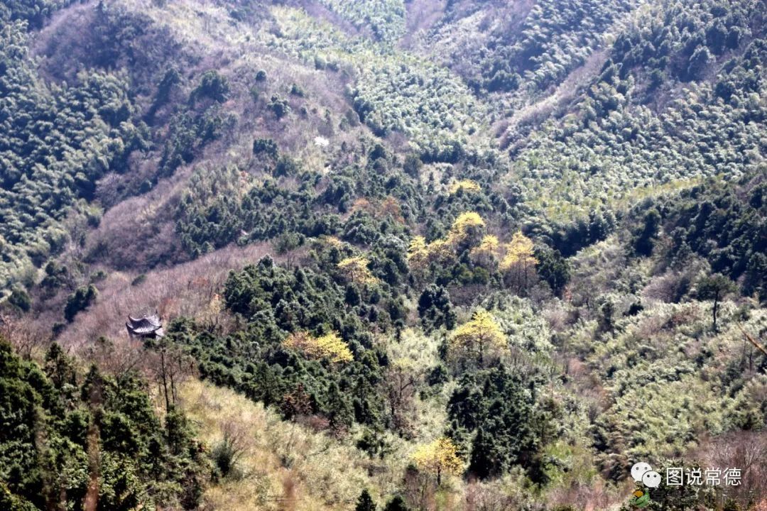 【走进临澧】太浮山:洞庭第一福山,武陵康养福地(图5) 【走进临澧】太浮山:洞庭第一福山,武陵康养福地(图5)