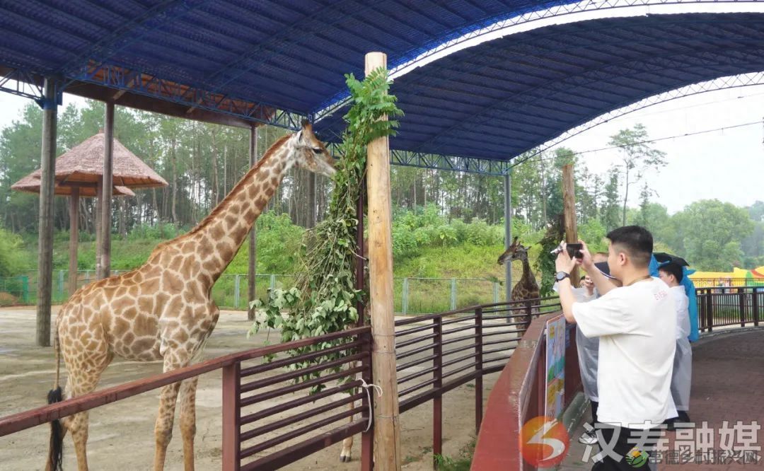 “相约汉寿 揭秘长寿”汉寿县举行全省旅行商大会暨常德野生动物世界旅游直通车开通启动仪式(图6) “相约汉寿 揭秘长寿”汉寿县举行全省旅行商大会暨常德野生动物世界旅游直通车开通启动仪式(图6)