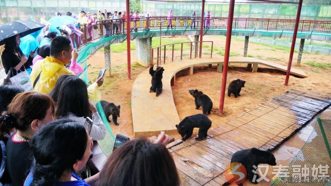 “相约汉寿 揭秘长寿”汉寿县举行全省旅行商大会暨常德野生动物世界旅游直通车开通启动仪式(图7) “相约汉寿 揭秘长寿”汉寿县举行全省旅行商大会暨常德野生动物世界旅游直通车开通启动仪式(图7)