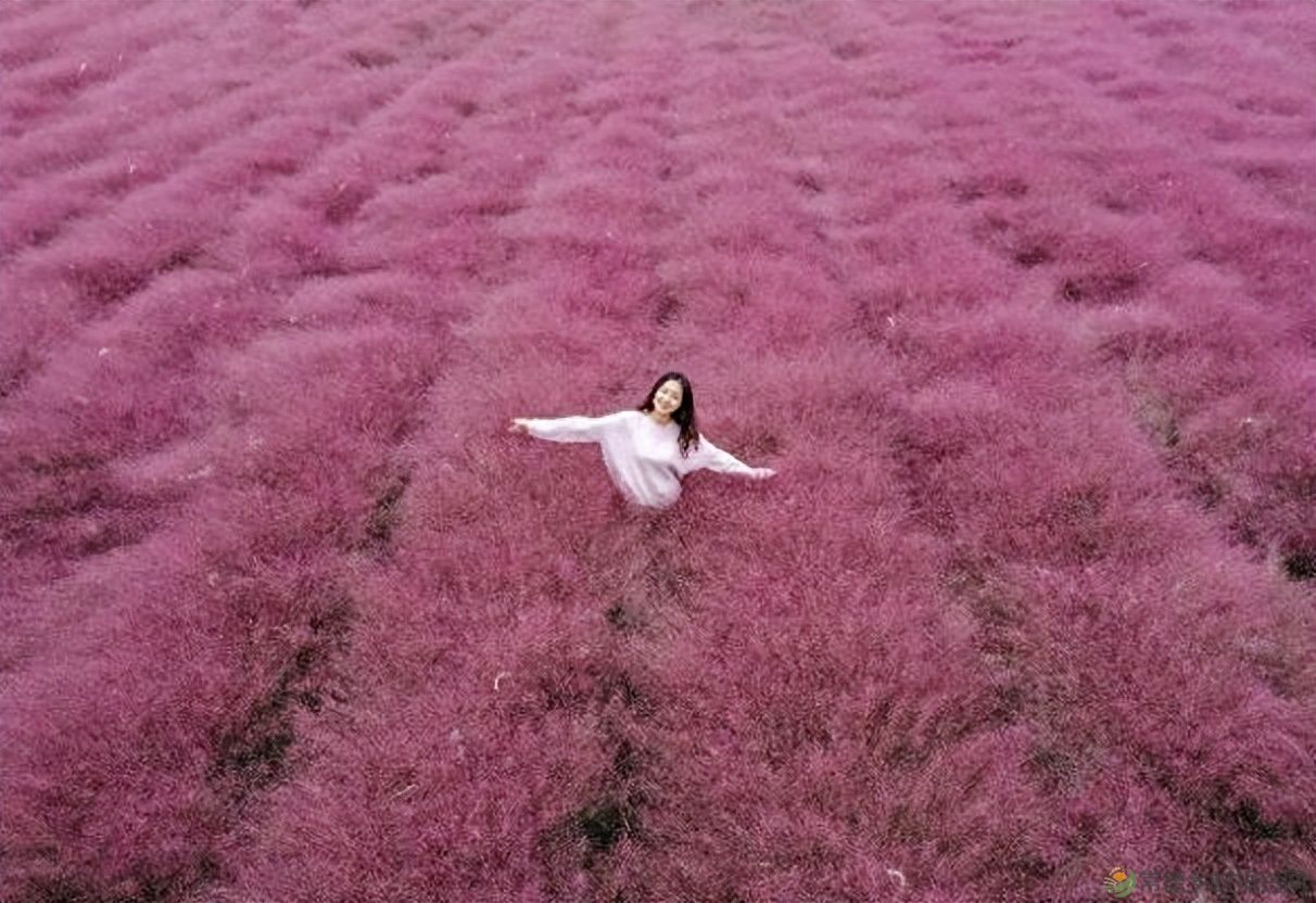 【双节特辑】“七星伴月 悦享常德”中秋+国庆 8天假期全攻略请查收(图5)