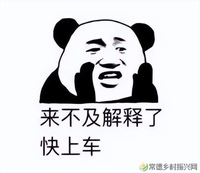 【双节特辑】中秋国庆去哪儿玩?临澧这个小镇美食文旅活动等你pick!(图2) 【双节特辑】中秋国庆去哪儿玩?临澧这个小镇美食文旅活动等你pick!(图2)