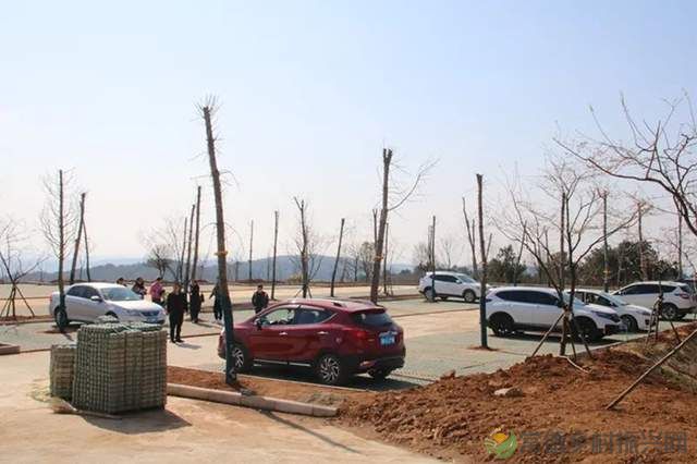 【走进临澧】穿越千年,带你走进家乡这座山(图4) 【走进临澧】穿越千年,带你走进家乡这座山(图4)