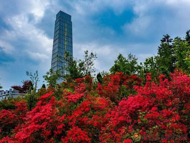 【走进临澧】穿越千年,带你走进家乡这座山(图2) 【走进临澧】穿越千年,带你走进家乡这座山(图2)