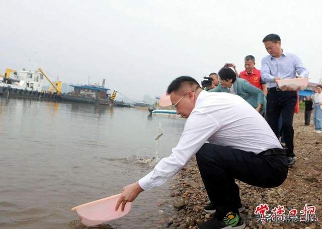 湖南常德：892万尾鱼苗投放沅江