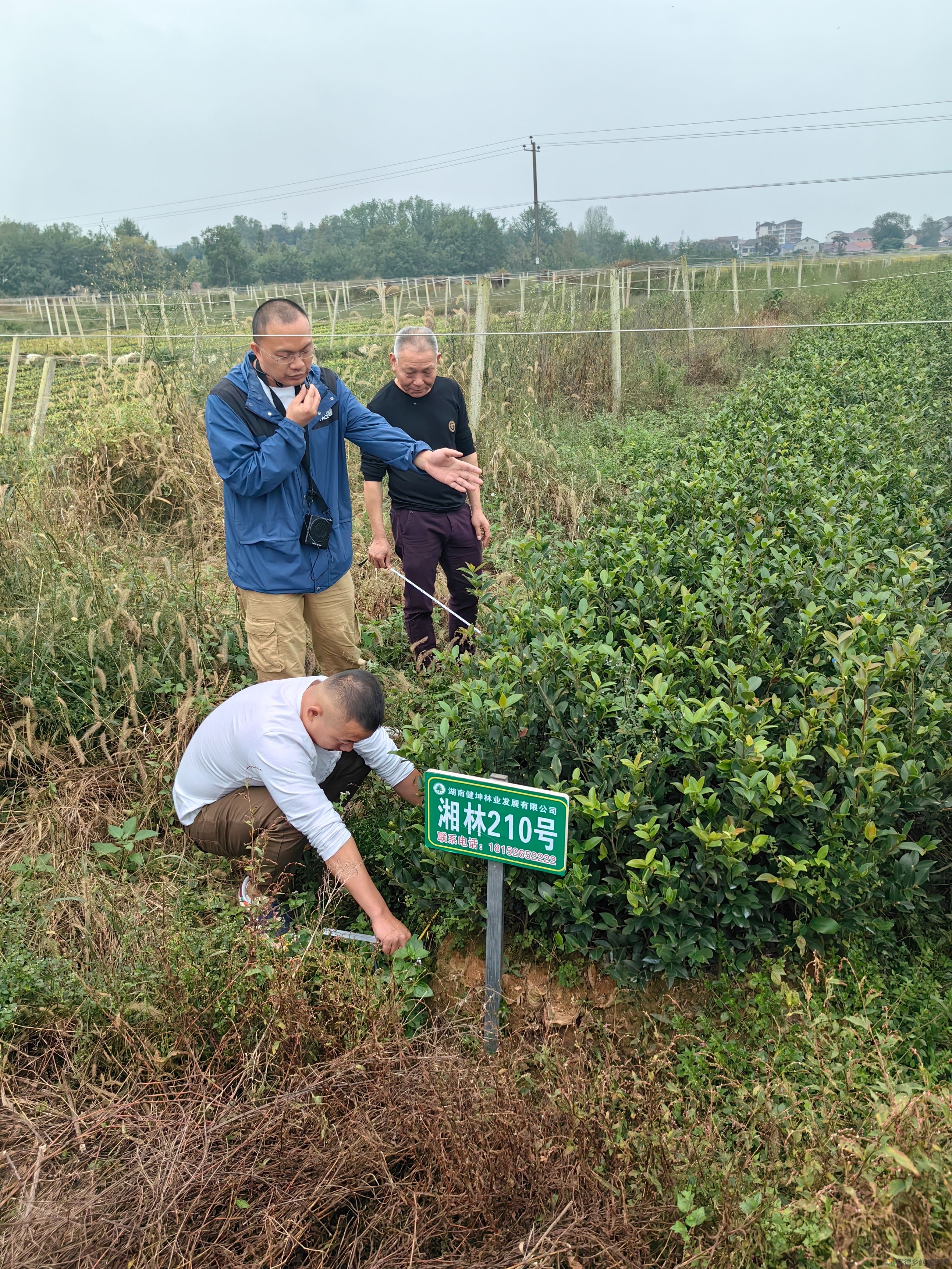 常德市林业局召开2023年全市种苗工作暨种苗行政执法“双打”工作会议(图2)