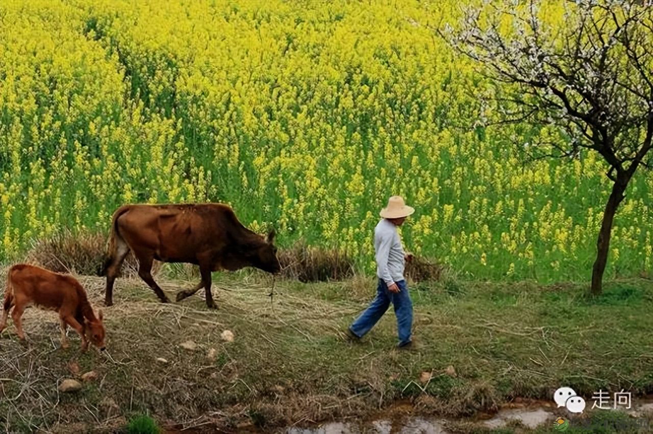 【走进临澧】美女摄影师眼中的太浮山(图2)
